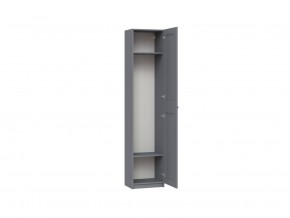 2.06.01.020.4 МАКС шкаф 1 дверь 50х38х233 серый RU в Игриме - igrim.ok-mebel.com | фото 2