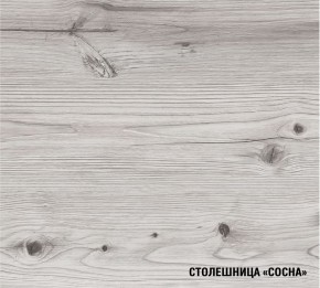 АСАЯ Кухонный гарнитур Экстра 2 (3000 мм) ПМ в Игриме - igrim.ok-mebel.com | фото 8