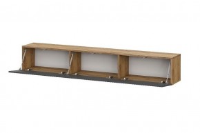 БАЙКАЛ Тумба (Графит/Дуб золотой) в Игриме - igrim.ok-mebel.com | фото 2