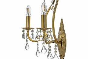 Бра Arti Lampadari Ercolano Ercolano E 2.1.2.602 G в Игриме - igrim.ok-mebel.com | фото 6