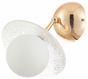 Бра Rivoli Jacqueline Б0066444 в Игриме - igrim.ok-mebel.com | фото