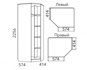 Детская Фанк Шкаф угловой Левый/Правый НМ 013.04-02 М в Игриме - igrim.ok-mebel.com | фото 3