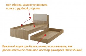 Дуглас подростковая (модульная) в Игриме - igrim.ok-mebel.com | фото 5