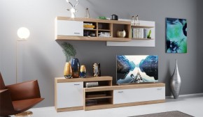 Гостиная Домино Дуб сонома/Белый в Игриме - igrim.ok-mebel.com | фото