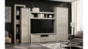 ЭЛИС Гостиная в Игриме - igrim.ok-mebel.com | фото 2