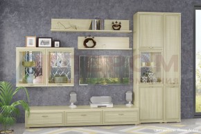 Гостиная Карина Композиция 1 (Ясень Асахи) в Игриме - igrim.ok-mebel.com | фото 4