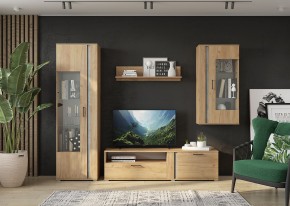 Гостиная Омега (Крафт золотой-Бетон) в Игриме - igrim.ok-mebel.com | фото