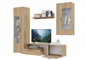 Гостиная Омега (Крафт золотой-Бетон) в Игриме - igrim.ok-mebel.com | фото 4