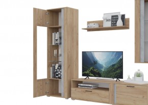 Гостиная Омега (Крафт золотой-Бетон) в Игриме - igrim.ok-mebel.com | фото 5