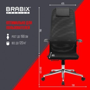 Кресло BRABIX PREMIUM "Ultimate EX-801" хром, плотная двойная сетка Х2, черное, 532917 в Игриме - igrim.ok-mebel.com | фото 7