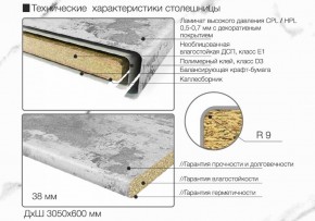 Кухонный фартук со столешницей (А-01) в едином стиле (3050 мм) в Игриме - igrim.ok-mebel.com | фото 6