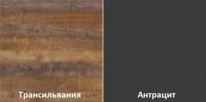 Кухонный гарнитур угловой Трансильвания 2600х1600 мм (Стол. 26 мм) в Игриме - igrim.ok-mebel.com | фото 3