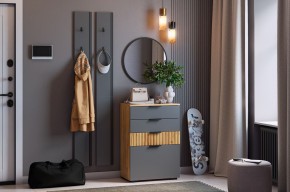 МЕБЕЛЬСОН К21 Прихожая  (графит) в Игриме - igrim.ok-mebel.com | фото