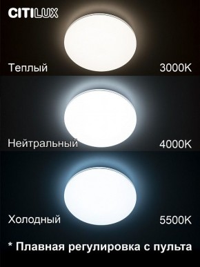 Накладной светильник Citilux Симпла CL714330G в Игриме - igrim.ok-mebel.com | фото 4
