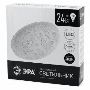 Накладной светильник Эра Классик SPB-6-24-4K (C) в Игриме - igrim.ok-mebel.com | фото 4