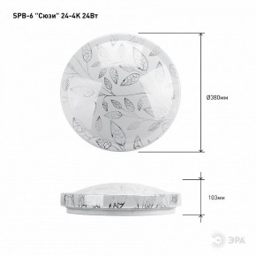 Накладной светильник Эра Классик SPB-6-24-4K (C) в Игриме - igrim.ok-mebel.com | фото 6