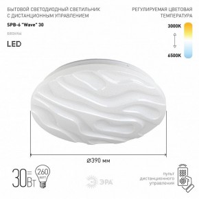 Накладной светильник Эра Классик SPB-6-30-RC Wave в Игриме - igrim.ok-mebel.com | фото 2