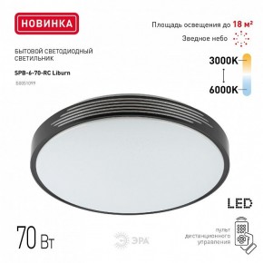 Накладной светильник Эра Классик SPB-6-70-RC Liburn в Игриме - igrim.ok-mebel.com | фото 10