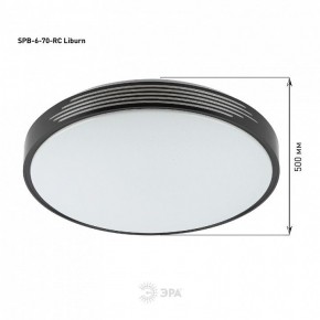 Накладной светильник Эра Классик SPB-6-70-RC Liburn в Игриме - igrim.ok-mebel.com | фото 13