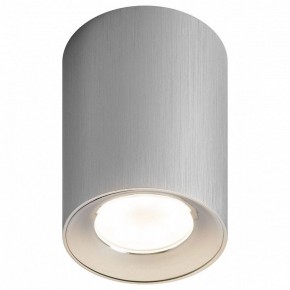 Накладной светильник Эра  OL1 GU10 SL/CH в Игриме - igrim.ok-mebel.com | фото
