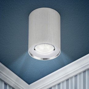 Накладной светильник Эра  OL1 GU10 SL/CH в Игриме - igrim.ok-mebel.com | фото 3