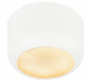 Накладной светильник Эра  OL56 WH в Игриме - igrim.ok-mebel.com | фото 2