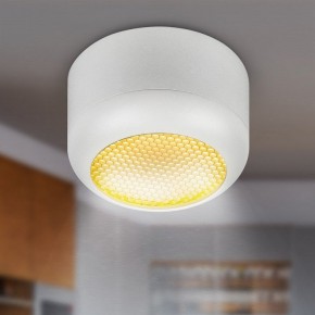 Накладной светильник Эра  OL56 WH в Игриме - igrim.ok-mebel.com | фото 8