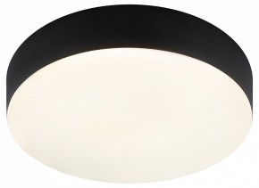 Накладной светильник Эра Relict Relict 22 SPB-6-20 4К BK в Игриме - igrim.ok-mebel.com | фото 3
