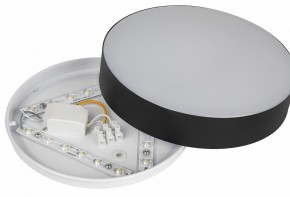 Накладной светильник Эра Relict Relict 22 SPB-6-20 4К BK в Игриме - igrim.ok-mebel.com | фото 7