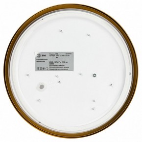 Накладной светильник Эра Relict Relict 22 SPB-6-20 4К MG в Игриме - igrim.ok-mebel.com | фото 4
