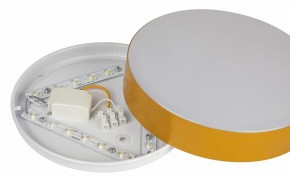 Накладной светильник Эра Relict Relict 22 SPB-6-20 4К MG в Игриме - igrim.ok-mebel.com | фото 6