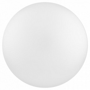Накладной светильник Эра Relict Relict 22 SPB-6-20 4К WH в Игриме - igrim.ok-mebel.com | фото 2