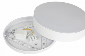 Накладной светильник Эра Relict Relict 22 SPB-6-20 4К WH в Игриме - igrim.ok-mebel.com | фото 7