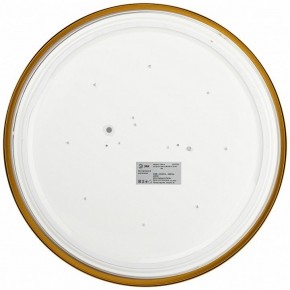 Накладной светильник Эра Relict Relict 38 SPB-6-40 4К MG в Игриме - igrim.ok-mebel.com | фото 3