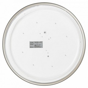 Накладной светильник Эра Relict Relict 38 SPB-6-40 4К WH в Игриме - igrim.ok-mebel.com | фото 4