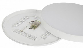 Накладной светильник Эра Relict Relict 48 Pult SPB-6-60-RC WH в Игриме - igrim.ok-mebel.com | фото 11