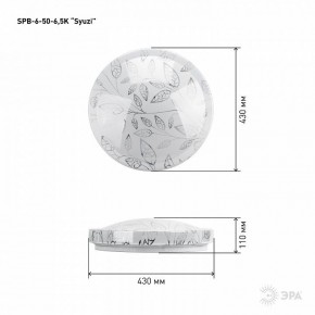 Накладной светильник Эра Relict SPB-6-50-6,5K Syuzi в Игриме - igrim.ok-mebel.com | фото 3