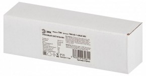 Накладной светильник Эра  TRM-S5-1-6W4K-WH в Игриме - igrim.ok-mebel.com | фото 6
