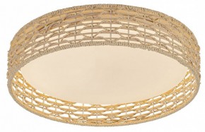Накладной светильник F-promo Conrad 4749-4C в Игриме - igrim.ok-mebel.com | фото 2
