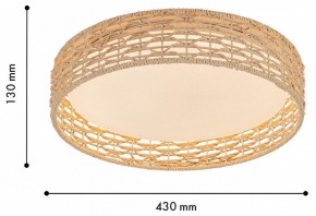 Накладной светильник F-promo Conrad 4749-4C в Игриме - igrim.ok-mebel.com | фото 3