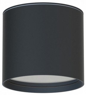 Накладной светильник Favourite Fantum 4663-1U в Игриме - igrim.ok-mebel.com | фото
