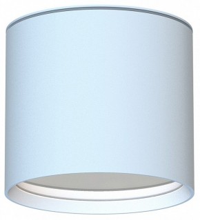 Накладной светильник Favourite Fantum 4664-1U в Игриме - igrim.ok-mebel.com | фото
