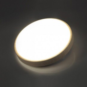 Накладной светильник Sonex Losta 7607/CL в Игриме - igrim.ok-mebel.com | фото 3