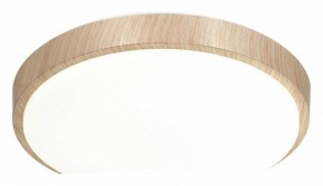 Накладной светильник Sonex Losta 7607/CL в Игриме - igrim.ok-mebel.com | фото 4