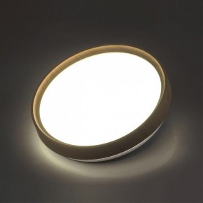 Накладной светильник Sonex Woodi 7603/DL в Игриме - igrim.ok-mebel.com | фото 3