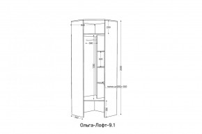 ОЛЬГА-ЛОФТ 9.2 Шкаф угловой с зеркалом в Игриме - igrim.ok-mebel.com | фото 2