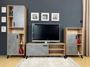 ОСКАР TRIO Гостиная (дуб золотой/каспий темный) в Игриме - igrim.ok-mebel.com | фото 2