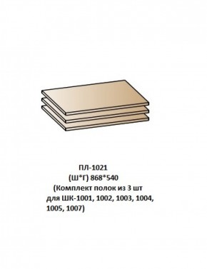 ПЛ-1021 (Комплект полок из 3 шт для ШК-1001, 1002, 1003, 1004, 1005, 1007) в Игриме - igrim.ok-mebel.com | фото