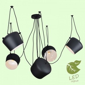 Подвесная люстра Lussole Shirley GRLSP-9919 в Игриме - igrim.ok-mebel.com | фото