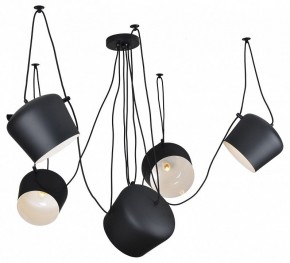 Подвесная люстра Lussole Shirley LSP-9919 в Игриме - igrim.ok-mebel.com | фото
